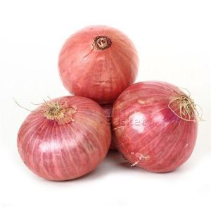 Fresh Pink Onion