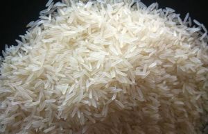 Sugandha Basmati Rice