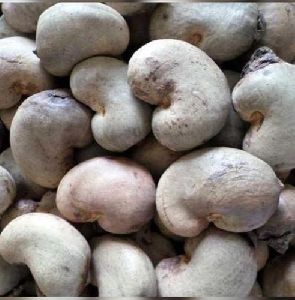 Raw Cashew Nuts