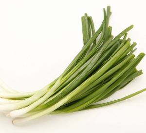 Spring Onion