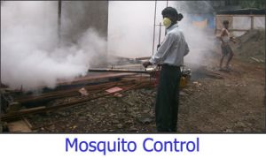 Pest Control Services