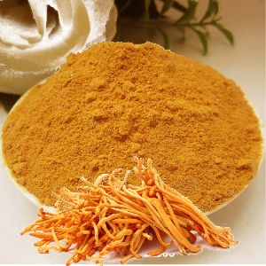 CORDYCEPS MILITARIS EXTRACT POWDER