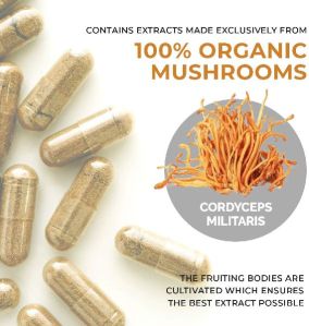 CORDYCEPS MILITRIS EXTRACT CAPSULE