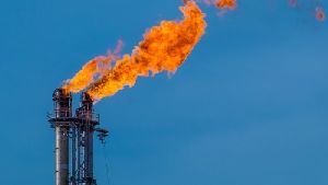 Gas Flare System