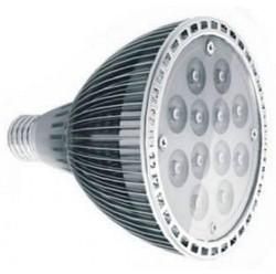 Minda LED Light