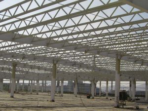 Building Trusses