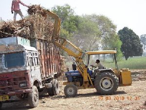 sugarcane grabber