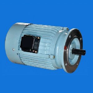 Paddle Wheel Aerator Motors