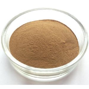 coleus forskohlii root extract