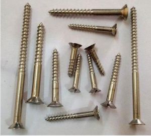 Nickel Polished Stainless Steel Screw