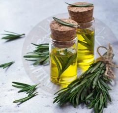 Rosemary Oil