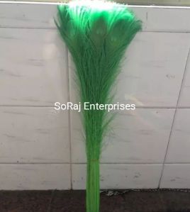 Peacock Feathers