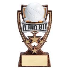 Vollyball trophy