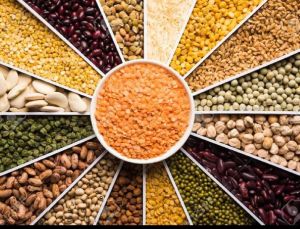 Indian Pulses