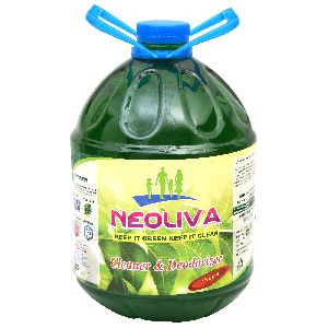 5 Liter Neem Phenyl