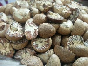 split areca nut