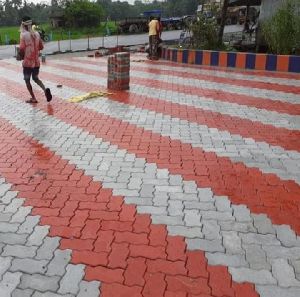 Interlocking Paver Block