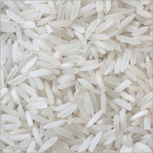 IR 36 Rice