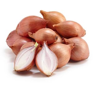 Fresh Shallot Onion