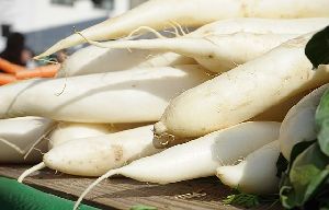 Fresh White Radish