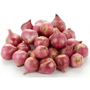 Sambar Onion