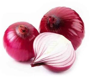 Onion