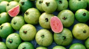 Fresh Guava