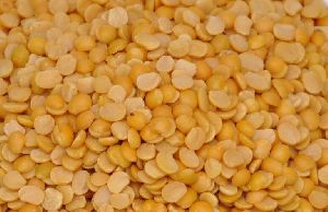 Pigeon Pea