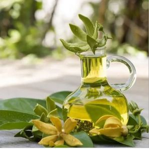 Ylang Ylang Oil