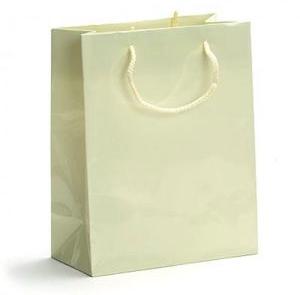 Laminated Paper Bags