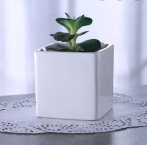 White Square Pot