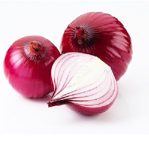 Big Onion