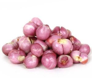 Sambar Onion