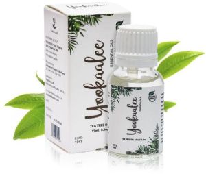 Tea Tree Oil