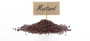 Mustard Seeds