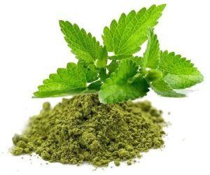 Tulsi Powder