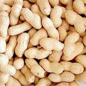 Raw Peanuts