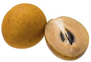 Fresh Sapodilla