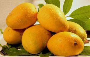 imam pasand mango