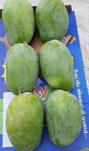 kesar mango