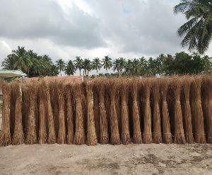 Coconut Broom