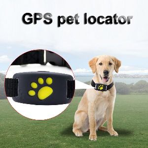 gps pet tracker