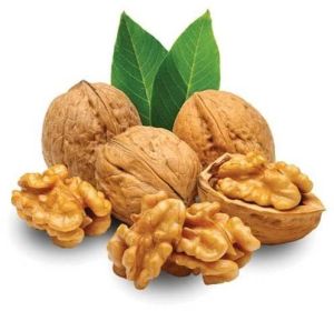 Walnut Shells