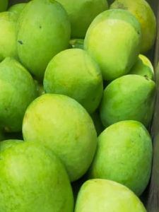 Ripe Mango fruit