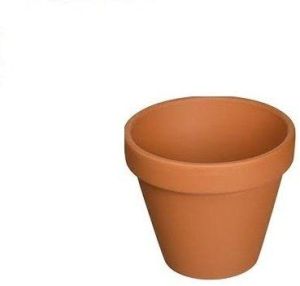 Terra Cotta Planter