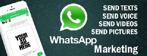 Bulk Whatsapp Services