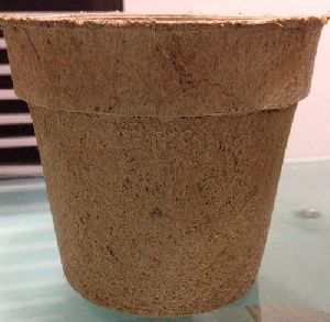 biodegradable pot