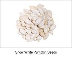 Snow White Pumpkin Seed