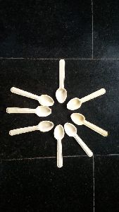 Areca Leaf Spoon