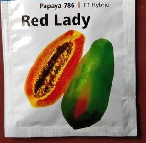 Taiwan Red Lady 786 Papaya Seeds